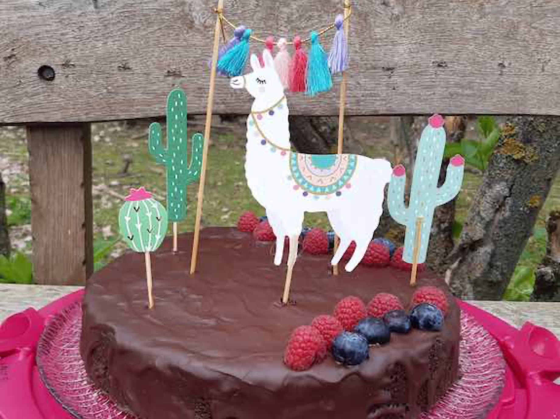 Lama- und Alpakawandern in Rheinhessen. Mit Lamas und Alpakas einen unvergesslichen Tag erleben.