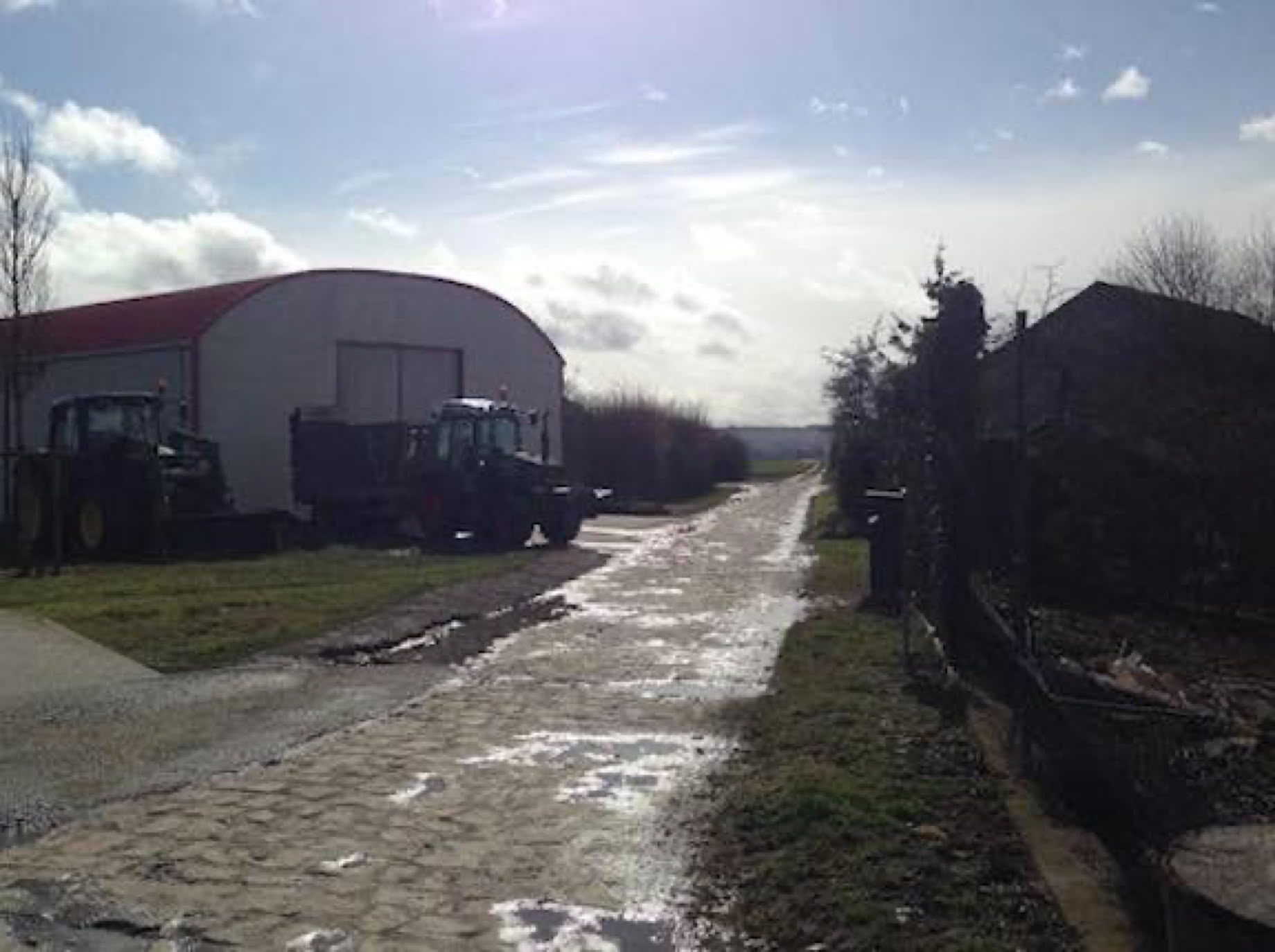 Lama- und Alpakawandern in Rheinhessen. Mit Lamas und Alpakas einen unvergesslichen Tag erleben.