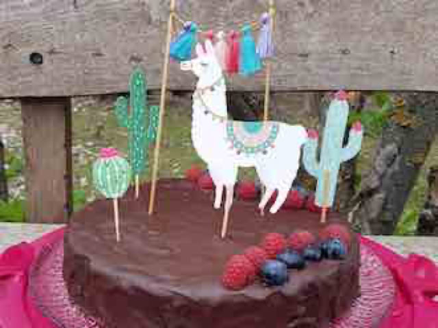 Lama- und Alpakawandern in Rheinhessen. Mit Lamas und Alpakas einen unvergesslichen Tag erleben.