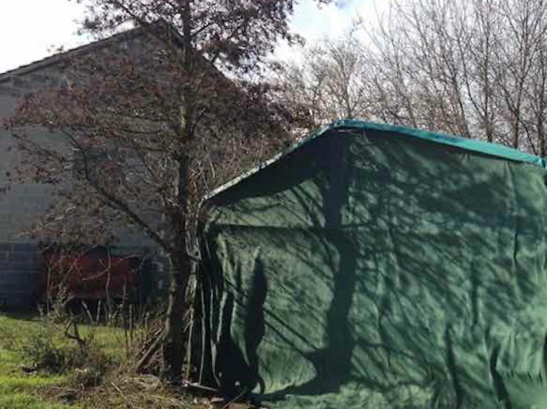 Lama- und Alpakawandern in Rheinhessen. Mit Lamas und Alpakas einen unvergesslichen Tag erleben.
